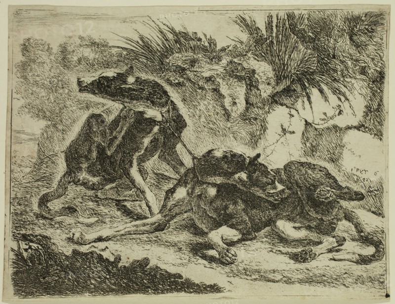 Jan Fyt, Flemish, 1611-1661, Two Greyhounds, 1642, etching printed in black ink on laid paper, Plate: 6 3/4 × 8 3/4 inches (17.1 × 22.2 cm)