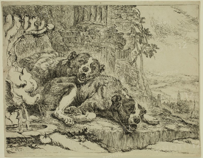 Jan Fyt, Flemish, 1611-1661, Two Dogs Near a Fountain, 1642, etching printed in black ink on laid paper, Plate and sheet: 6 3/4 × 8 3/4 inches (17.1 × 22.2 cm)