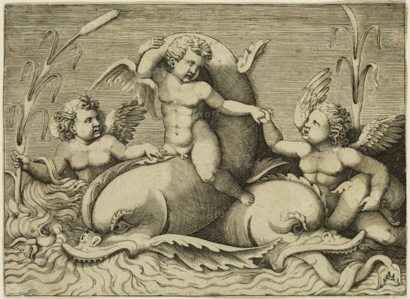 Adamo Scultori, Italian, 1530-1585, after Giulio Romano, Italian, 1499-1546, Cupids Sporting with a Dolphin, between 1530 and 1585, engraving printed in black ink on laid paper, Sheet (trimmed within plate mark): 4 5/8 × 6 3/8 inches (11.7 × 16.2 cm)