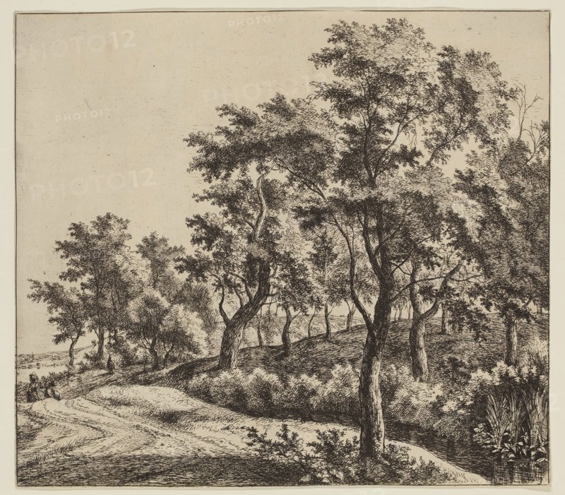 Jan Hackaert, Dutch, 1628 - after 1685, The Small River, ca. 1653, etching printed in black ink on laid paper, Sheet (trimmed within plate mark): 7 3/4 × 8 5/8 inches (19.7 × 21.9 cm)