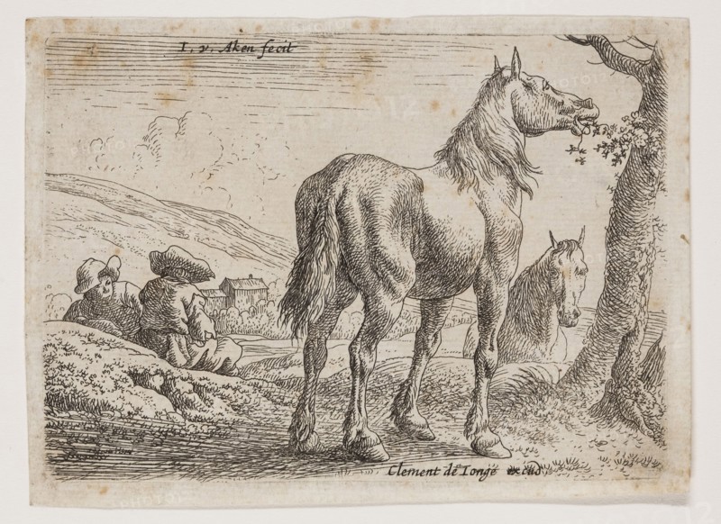 Jan van Aken, Dutch, 1614-1661, Horse Eating Leaves from a Tree, 17th century, etching printed in black ink on laid paper, Plate: 2 7/8 × 3 7/8 inches (7.3 × 9.8 cm)
