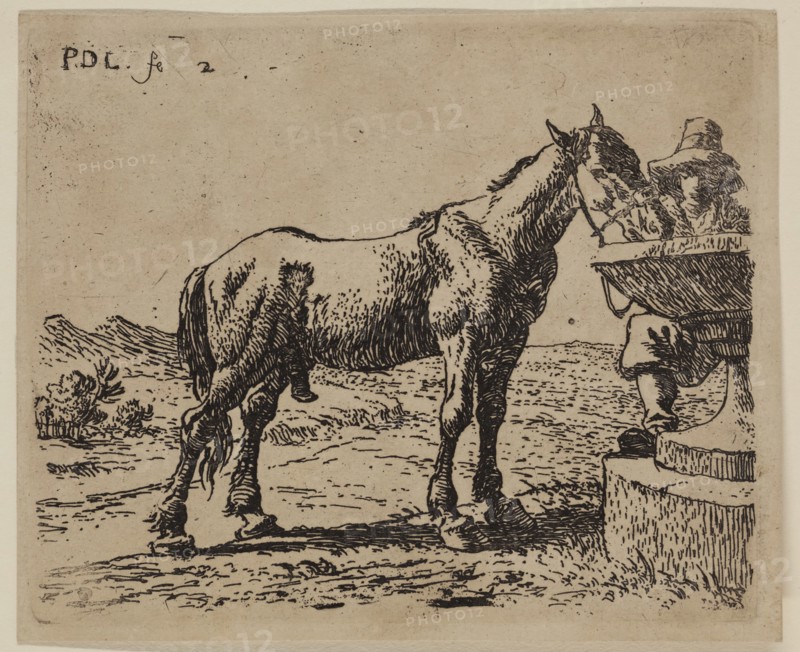 Pieter de Laer, Dutch, 1592-1642, Horse Drinking, between 1592 and 1642, etching printed in black ink on laid paper, Plate: 3 1/4 × 3 7/8 inches (8.3 × 9.8 cm)