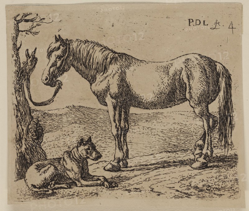 Pieter de Laer, Dutch, 1592-1642, Horse and Dog, between 1592 and 1642, etching printed in black ink on laid paper, Plate: 3 1/4 × 3 3/4 inches (8.3 × 9.5 cm)