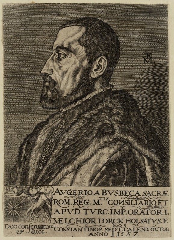 Melchoir Lorch, German, 1527-1594, Augier Ghislen Busbecq 1522 - 1592, 1557, engraving printed in black ink on laid paper, Sheet (trimmed within plate mark): 4 7/8 × 3 1/2 inches (12.4 × 8.9 cm)