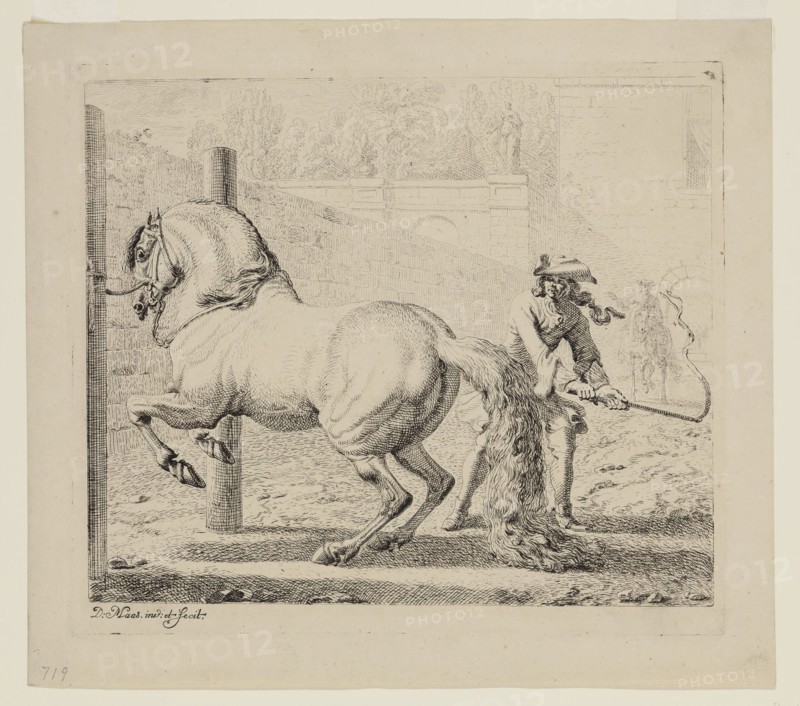 Dirk Maas, Dutch, 1659-1717, Fractious Horse Between Two Posts, between mid-17th and early 18th century, etching printed in black ink on laid paper, Plate: 8 × 9 1/4 inches (20.3 × 23.5 cm)