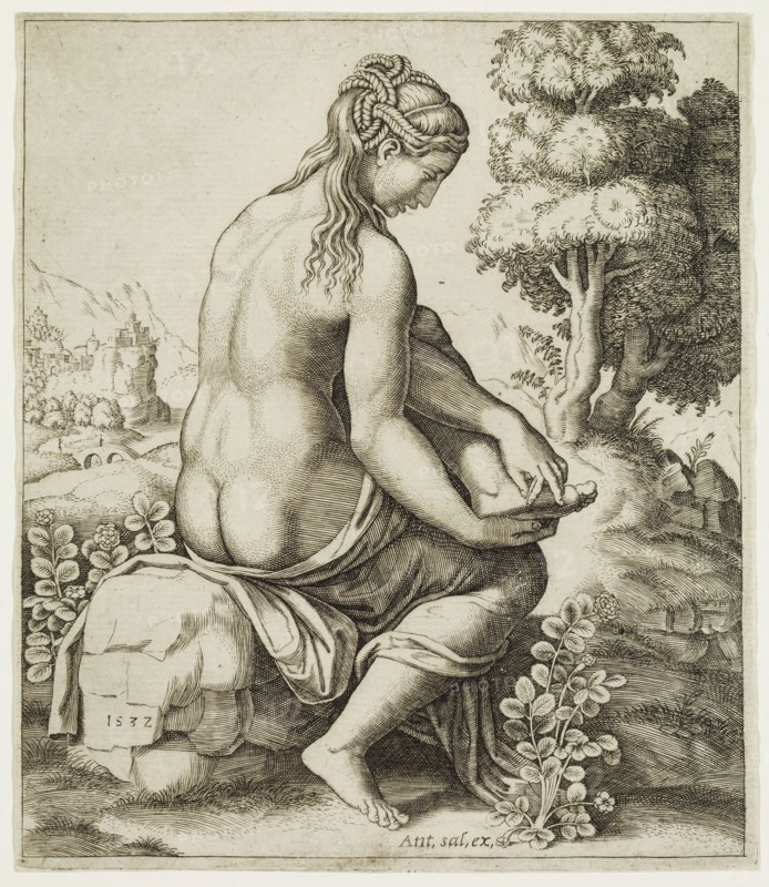 Master of the Die, Italian, after Raphael, Italian, 1483-1520, Venus Wounded by the Thorns of a Rose, 1532, engraving printed in black ink on laid paper, Sheet (trimmed within plate mark): 7 7/8 × 6 3/4 inches (20 × 17.1 cm)