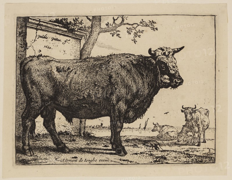 Paul Potter, Dutch, 1625 - 1654, The Bull, 1650, etching and engraving printed in black ink on laid paper, Plate: 4 3/8 × 5 3/4 inches (11.1 × 14.6 cm)