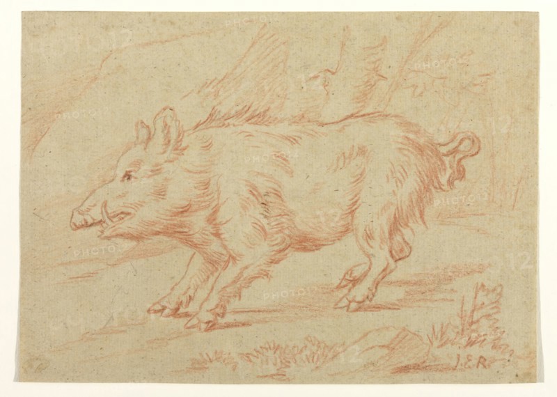Johann Elias Ridinger, German, 1698-1769, Wild Boar, between 1698 and 1769, red crayon or chalk on tan laid paper, Sheet: 6 7/8 × 9 5/8 inches (17.5 × 24.4 cm)