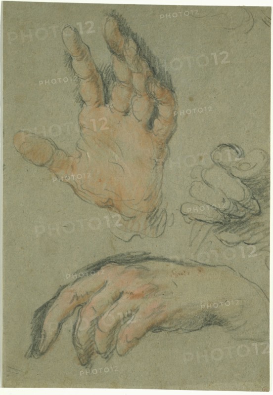 Bernardo Strozzi, Italian, 1581-1644, Study of Three Hands, between 1625 and 1630, black and red chalk and pastel on gray-blue paper, Sheet: 9 3/4 × 6 3/4 inches (24.8 × 17.1 cm)