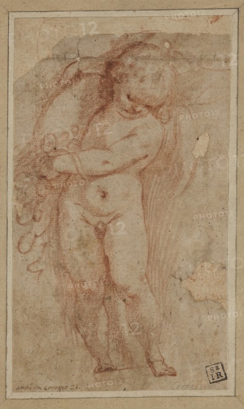 Unknown (Italian), Standing Putto with Cornucopia, between 1575 and 1600, red chalk on buff laid paper, Sheet: 6 7/8 × 4 1/8 inches (17.5 × 10.5 cm)