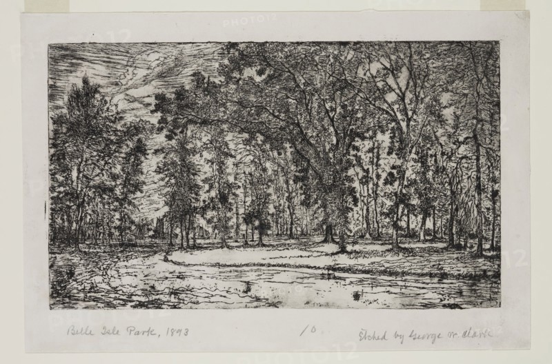 George W. Clark, American, Forest of Belle Isle Park - Detroit, 1893, etching printed in black ink on japan paper, Plate: 5 7/8 × 9 7/8 inches (14.9 × 25.1 cm)