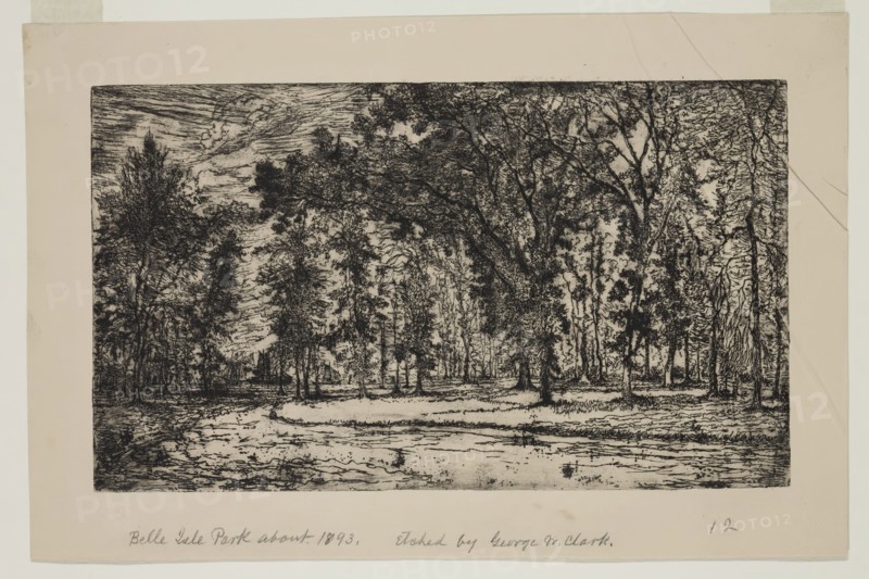 George W. Clark, American, Forest of Belle Isle Park - Detroit, 1893, etching printed in black ink on wove paper, Plate: 5 7/8 × 9 7/8 inches (14.9 × 25.1 cm)