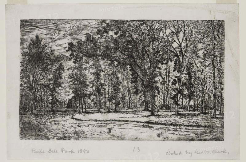 George W. Clark, American, Forest of Belle Isle Park - Detroit, 1893, etching printed in black ink on japan paper, Plate: 5 7/8 × 9 7/8 inches (14.9 × 25.1 cm)