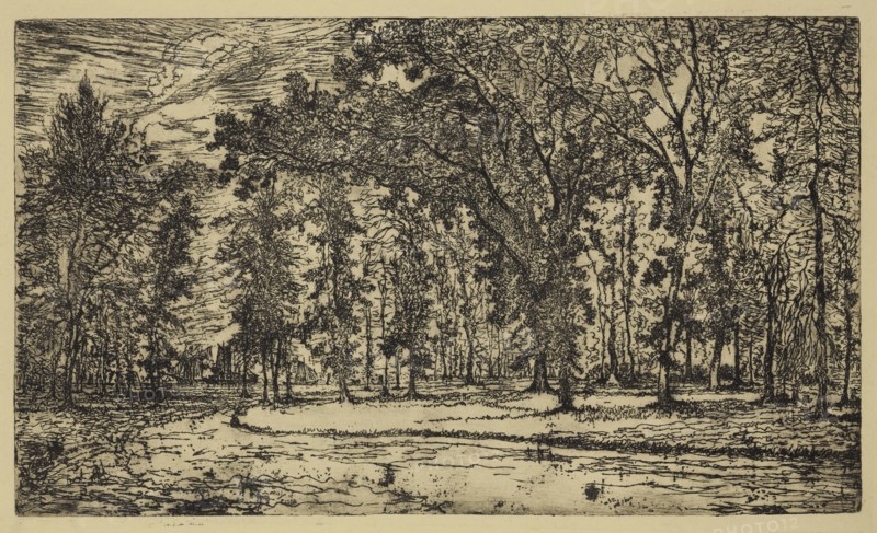 George W. Clark, American, Forest of Belle Isle Park - Detroit, 1893, etching printed in black ink on yellow wove paper, Plate: 5 7/8 × 10 inches (14.9 × 25.4 cm)