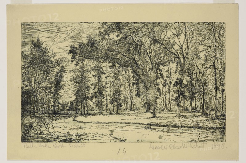 George W. Clark, American, Forest of Belle Isle Park - Detroit, 1895, etching printed in black on yellow wove paper, Plate: 5 7/8 × 9 7/8 inches (14.9 × 25.1 cm)