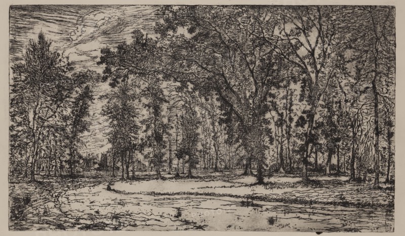 George W. Clark, American, Forest of Belle Isle Park - Detroit, 1893, etching printed in black ink on wove paper, Plate: 5 3/4 × 9 7/8 inches (14.6 × 25.1 cm)