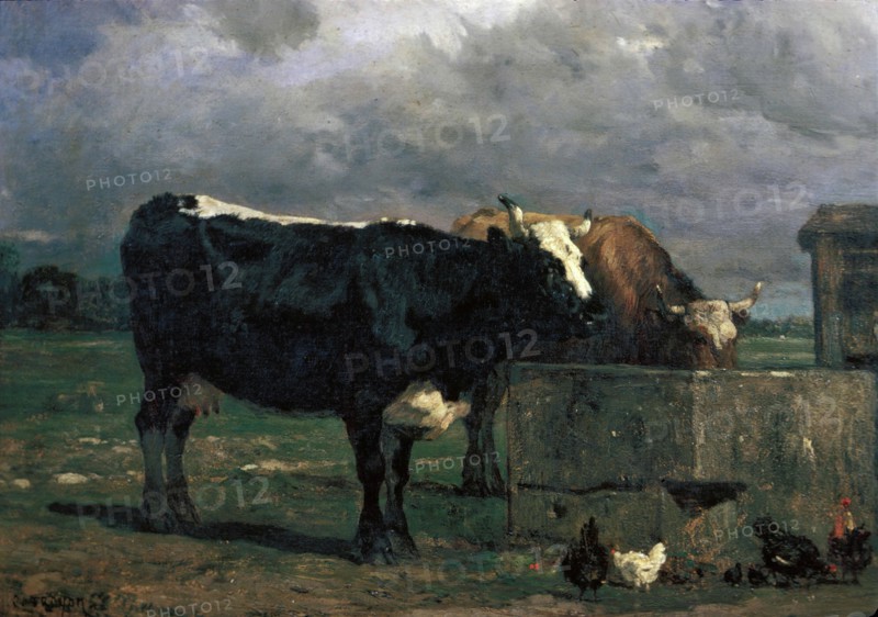 Constant Troyon, French, 1810-1865, Cattle at the Trough, 19th Century, oil on canvas, Unframed: 16 3/4 × 22 inches (42.5 × 55.9 cm)