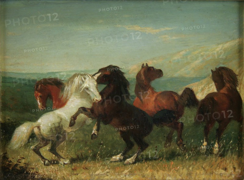 Unknown (American), Wild Horses, 19th century, paint on panel (wood), Overall: 7 1/2 × 8 1/2 inches (19.1 × 21.6 cm)