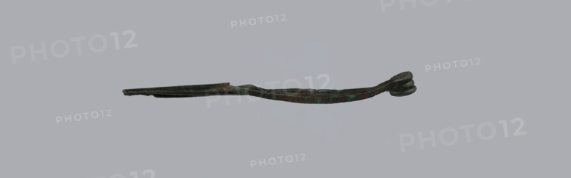 Arched fibula, Goluchów Greater Poland Voivodeship. Fibula with an arched bow; the pin emerges from a double-coiled spring. The sheath is a half-cylinder, cut to accommodate the pin. Condition: good, greenish corrosion on the surface. Date: 7th–6th century BC 4th quarter of the 8th – mid-7th century BC, Raczynska. Italy place of origin?, bronze jewelry., A narrow, elongated metal object lies horizontally against a light gray background, with a slightly twisted, flattened shaft that tapers toward one end and curls into a small coiled loop at the other end; the metal surface shows a mix of dark brown, green, and black tones with patches of greenish corrosion and subtle variations in sheen.