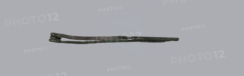 Arched fibula. Fibula with an arched bow; the pin emerges from a double-coiled spring. The sheath is a half-cylinder, cut to accommodate the pin. Material: bronze; condition: good, greenish corrosion on the surface. Date: 7th–6th century BC / 4th quarter of the 8th–mid-7th century BC Raczynska. Place of origin: Italy . Jewelry, fibula., A long thin metallic object with a curled coil at one end and a tapered point at the other, shown against a plain light gray background; the metal surface appears weathered and uneven with a patina showing shades of dark green, greenish-brown, and dark brown, and a few areas with slightly lighter green highlights.