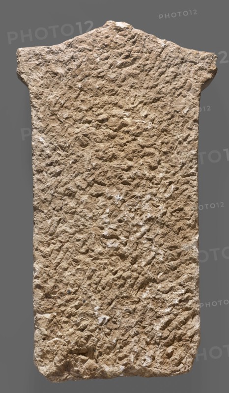Tombstone of Apollonides with Greek inscription. Rectangular slab with three lines of Greek inscription, topped with a triangular tympanum. Tombstone of Apollonides, son of Hippias of Gela, 300–250 BC; Ptolemaic period. Found at Zawiyet el-Mayetin near Minia, Kom el Ahmar. Greek inscription. Height 58.5 cm, width 32 cm, depth 9 cm, weight 25.5 kg., A tall, roughly rectangular stone slab with an uneven top edge and irregular sides, showing a heavily textured, pitted surface with a rough, granular appearance; the slab is beige to light brown with small areas of lighter off-white patches and subtle darker brown shadows, and it is set against a flat gray background.