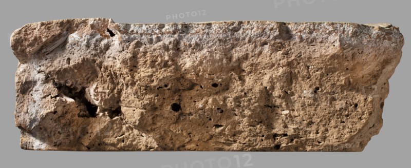 Fragment of a brick with a cuneiform inscription, creator unknown, architectural element in cuneiform writing, Near Eastern architecture, Nebuchadnezzar II 604–562 BC, Eastern Gallic Scenography, ca. 604–ca. 562 BC, Babylonia, Borsippa, brick, weight 534 g, height 6 cm, width 15 cm, thickness 5 cm, A rough, rectangular block of porous material fills the image, with an uneven, pitted surface showing a variety of textures including cavities, crevices, and eroded ridges. The block displays a mix of tan and light brown tones across most surfaces, with areas of pale off-white deposits scattered mainly along the top edge and in some shallow depressions. Shadows accentuate deeper holes and irregularities, and the background is a flat medium gray.