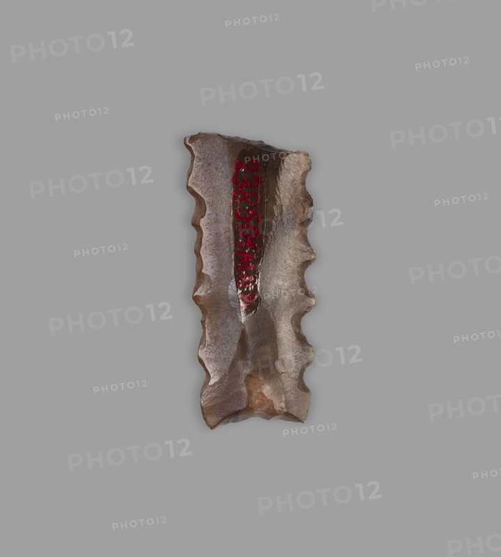 Blade - insert for a sickle, 4th–3rd millennium BC, Nippur, tool, A roughly rectangular, jagged-edged stoneflake with a flaked, sculpted surface sits against a flat gray background; the stone shows a palette of brown, tan, beige, and gray with areas of glossy sheen and matte texture, and there is a vertical streak of deep red on its surface.