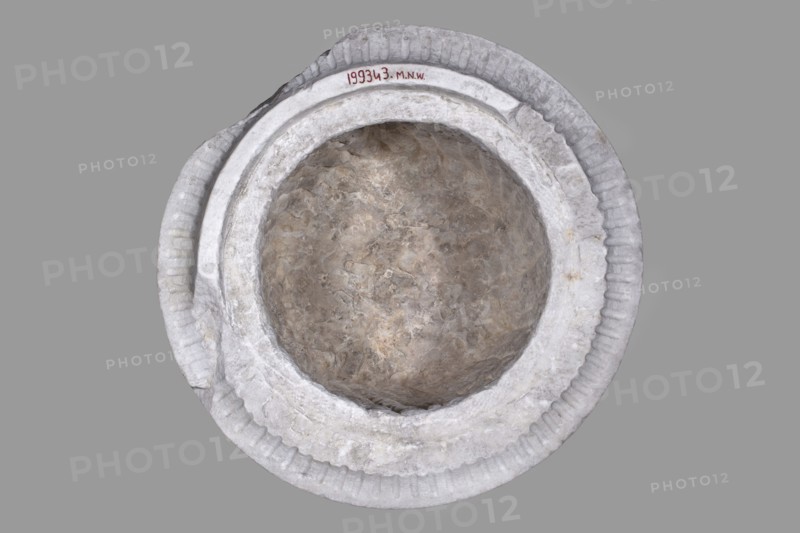 Urn of Gnaeus Pedanius Callistus with Latin inscription, unknown Roman workshop. A cylindrical urn placed on a smooth plinth and a convex base. Its shape and decoration resemble a fragment of a column shaft, tapering towards the top. Entire surface decorated with S-shaped fluting strigillea, closed at top and bottom by a narrow frame. In the central part, slightly closer to the cornice than the base, is a tabula ansata with open handles containing the inscription. Inside the urn a deep niche for ashes was carved out with a chisel. The opening is topped by a molding decorated with radially arranged grooves. The place where the lid was attached is visible. Lid: missing; a comparable urn inventory no. 4503 survives with an original conical roof, so this urn likely had a similar conical or possibly domed lid. Inscription: letter height 15 cm. Dated to the beginning of the 3rd century based on analogy; previously dated late 2nd–3rd century AD. Probable findspot Rome; origin: Roman Empire 27...