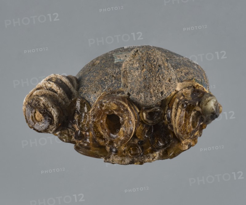 Apotropaic pendant in the shape of a male head; bearded head pendant; pendant in the form of a bearded man's head; 4th–3rd century BC; Carthage Tunisia; technique on core; jewelry amulet; height 8 cm, width 6.4 cm, depth 4 cm;, A rounded object with a rough, textured top in gray and brown tones sits against a plain gray background, with a cluster of glossy, translucent brown and amber spiral formations attached along its lower edge and a few creamy off-white and dark brown bands visible within the spirals.