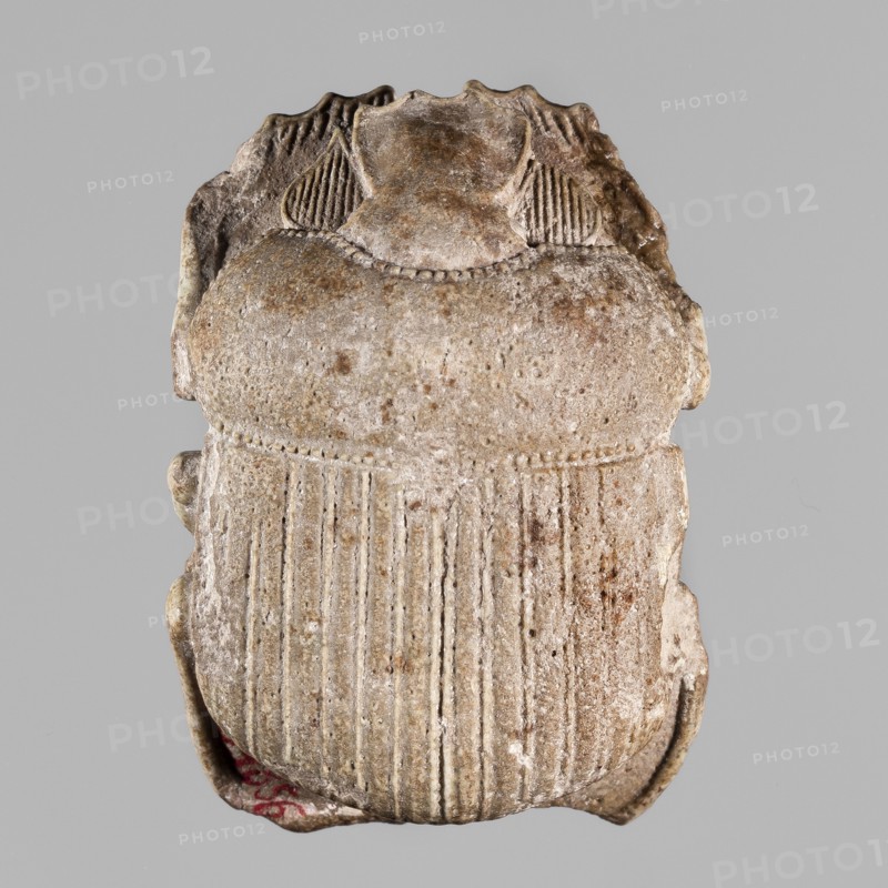 Scarab with naturalistic modeling; protective amulet depicting a sacred animal; Late Period, 26th Dynasty, 664–525 BC, Egypt; amulet scarab; height 4 cm, width 2.8 cm;, A single carved object resembling a rounded, symmetrical form with a textured surface and vertical grooves on its lower portion, showing a few irregularities and chips around the edges; the top area has a raised central section flanked by curved, ribbed elements and a beaded border where the upper and lower sections meet; the surface shows a weathered, pitted texture with small rough spots and worn details; visible colors include beige, light brown, tan, off-white, gray, and a small area of muted red near the lower edge; the background is a flat, uniform light gray.