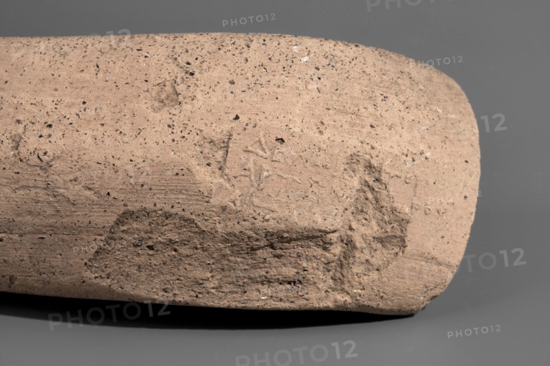 Fragment of a Sinopean amphora vice with a partially preserved rectangular stamp. The stamp is oval in cross-section, flattened, and located on the bend of the vice. Originally a four-line stamp: the first line of the legend is not impressed; the last line is partially preserved only upper parts of letters visible; last two letters missing. To the right of the legend was an emblem in the form of a prora. Originally, the first line contained the astynomic title; the second line contained the name of the astynomeus Delphios in the generic form; the third line is his patronymic; the fourth line contains the name of the manufacturer Agathon II in the nominative. Maker: Agathon II ca. 250–205 BC. Date: 2nd half of the 3rd century BC. Findspot: Myrmekion Crimea. Origin: Sinope. Type: stamped amphora vice stamp, vice. Height: 12.8 cm., A close-up of a cylindrical object with a rough, sandy surface in shades of tan and light brown dotted with small dark specks, resting on a smooth grey backgro...