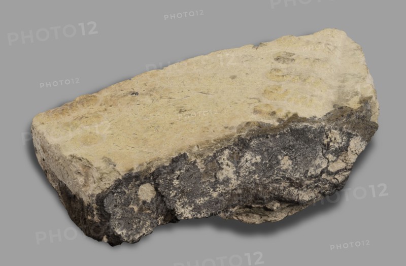 Fragment of a brick with relief decoration. Element of an unglazed panel with a depiction of a bull from the decoration of the Ishtar Gate. On the face side, plastic decoration with a depiction of two diagonally running spirally twisted curls of hair from the figures of bulls that decorated the walls of the Ishtar Gate in Babylon older unglazed phase. 1st half of the 6th century BC; Neo-Babylonian period, Babylon Iraq. Element of architectural decoration. Weight 810 g., A roughly rectangular slab of rock with an uneven, weathered surface sits against a plain gray background; the top face of the slab is a pale yellowish-beige with subtle circular impressions and small darker specks, while the sides show a mix of darker gray and black rough textures interspersed with lighter beige patches, and the underside has shadowed areas creating darker gray tones.