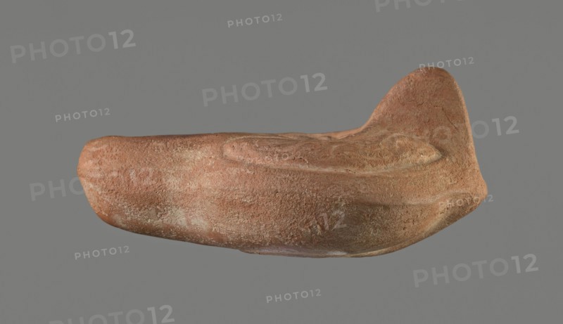 Oil lamp, Horse iconography. Lamp pressed from a mold. Light red clay with brownish-red engobe. Almond-shaped reservoir. Ring-shaped, slightly concave base with a mold mark of two notches letter lambda or simplified alpha. Single groove runs from the base toward the nozzle. Solid nozzle. Handles decorated with a simplified winding vine s-scroll motif. Slightly concave discus with two olive holes, decorated with a depiction of a horse galloping left. Medium-length burner with an oval end and a round wick hole. No traces of use. 4th–5th century, Tunisia. Oil lamp; height 10.7 cm, width 6.9 cm., A single irregularly shaped object with a textured, rough surface in shades of reddish-brown, terracotta, and hints of pale beige set against a flat gray background; the object has a rounded elongated body with a raised, curved ridge on one side and a taller, sculpted protrusion at one end, showing variations in surface texture and subtle areas of lighter and darker coloration.