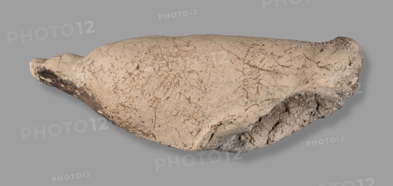 Votive offering in the form of a phallus, votive offering, phalluses, 332–30 BC; Hellenistic period, Etruria, Caere; height 6 cm, width 15 cm, depth 6 cm, weight 0.21 kg, length 15.3 cm, A roughly elongated, irregularly shaped object with a smooth domed surface and a rough broken edge, shown against a uniform gray background; the object displays a pale beige to off-white color with a network of fine brownish scratches and markings across its top, darker brown and gray discoloration along one tapered end and near the rough broken area, and some small dark specks scattered on the surface; the broken edge reveals a crumbly, porous interior with mottled gray and beige tones.