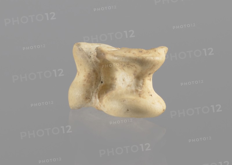 Goat astragal, Myrmekion Crimea, astragal condylo-talus bone from a goat, bones, antiquity; 332–30 BC Hellenistic period, Myrmekion place of finding, product of nature, length 2.1 cm, A pale beige, irregularly shaped object with a smooth, slightly pitted surface sits against a uniform gray background, showing subtle darker beige and brown speckles and smudges; the object casts a soft reflection on the glossy gray surface beneath it, and its form includes rounded protrusions, concave curves, and shallow indentations, with visible texture variations and gentle shadows emphasizing its contours.