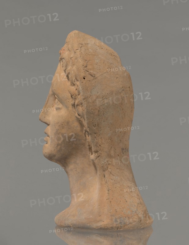 Votive female head, Female head wearing a wreath, from under which lush locks of hair curl down the sides of the face to the neck. High forehead, large eyes deep-set in relation to the nose, slightly convex with developed eyelids and eyeballs, pupils are marked. Small straight nose; narrow, slightly parted mouth with fleshy lips. Strong chin, slightly protruding forward; slim cheeks giving the face a triangular outline. 3rd–2nd century BC, Etruria; votive. Height 26 cm, width 21 cm, depth 13 cm, weight 2 kg., A terracotta-colored sculpted head shown in profile against a gray background, with a smooth elongated neck and base, textured surface with rougher areas and small pits, a carved nose, lips, chin, and an eye socket, braided or ridged hair detail running along the side of the head, and subtle variations of brown, tan, beige, reddish-brown, and gray tones across the surface.
