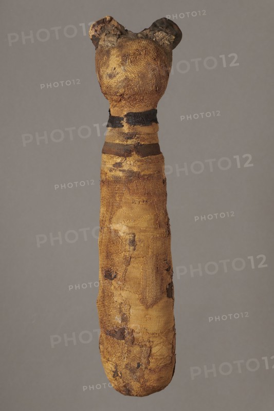 Cat mummy decorated with a meander made of white and brown bandages. Cat mummy, linen fabrics; cats; meander ornament. Roman period, 30 BC–395 AD, Egypt. Mummy; height 27.3 cm, width 6.5 cm, depth 6 cm., A long, narrow wrapped object with a rounded top that has two small protrusions resembling ears, covered in layered cloth showing worn, frayed, and patched areas; the wrapping displays a textured weave with irregular darker patches and strips around the upper section, and the visible colors include shades of brown, tan, beige, black, and hints of dark gray, all set against a plain muted gray background.