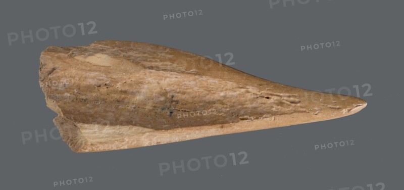 Awl, Tools; awl made from a cut triangular, flat fragment of animal bone. The elongated, sharpened end is polished from use piercing fabrics or leather. Early Jazira III / Early Dynastic III period, c. 2600–c. 2350 BC. Excavated at Tell Abu Hafur northeastern Syria, Northern Mesopotamia Khabur basin. Height 7.4 cm; width 2.5 cm; diameter of pointed working end 0.4–0.7 cm., A single elongated, tapered object with a rough, irregular surface is shown against a flat background. The object has a pointed end and a thicker, jagged base, with visible pitting, small holes, and textured grooves along its length. Its surface shows a range of earthy colors including light tan, beige, brown, and some darker brown flecks, with subtle lighter streaks and patches. The background is a solid muted gray.