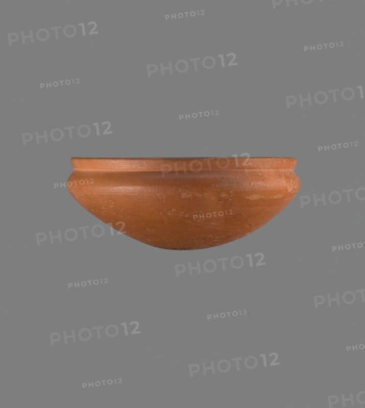 Medum-type bowl, Medum-type bowl with characteristic carination under the rim. Rounded bottom. Straight, slightly flaring rim. Narrow, sloping shoulders. The diameter of the rim is smaller than the diameter of the vessel's shoulders. Nile clay, light red, well fired. Surface leveled, covered with a layer of engobe and polished. On the outside of the bottom part is a hieroglyphic sign in the shape of a bird, probably the letter m. Vessel color red. Complete, very well preserved. Comparative references: Junker, Giza I, pl. XII no. 16; Reisner, A History of Giza Necropolis, vol. I, fig. 282. Ca. 2686–2181 BC Old Kingdom, Edfu; vessel height 8.9 cm, rim diameter 20.9 cm, shoulder diameter 21.5 cm., A terracotta bowl with a rounded profile and a slightly flared rim is shown centered against a plain gray background; the bowl is reddish-brown with variations in tone and some lighter patches and scuff marks on its surface.