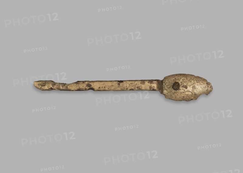 Medical tool fragment of strigilis?, tool, height 12.8 cm, possibly from Rome, Madeyski, Antoni 1862–1939., A long, slender metallic object with a rough, pitted surface lying horizontally against a flat light gray background; one end is rounded and bulbous with an irregular outline and a small circular darker area, while the opposite end tapers into a narrower, slightly hooked tip; the metal appears mottled with shades of gold and bronze and areas of darker brown discoloration and spots, with subtle shadows beneath the object.