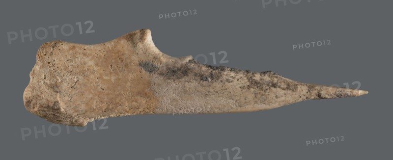 Awl, An awl made of unworked animal bone with a sharpened end used for piercing materials fabrics or leather. Early Jazira III period / Early Dynastic III period, ca. 2600–ca. 2350 BC. Tell Abu Hafur northeastern Syria; Northern Mesopotamia Khabur basin, Al-Jazira. Tool. Height 9.3 cm; width 2.9 cm; diameter of pointed working end 0.2–0.5 cm; weight 8 g., A single elongated object with an irregular, tapered shape lying horizontally against a solid gray background, showing a rough, textured surface with worn areas and porous spots; the object displays a palette of tan, beige, light brown, darker brown, gray, and small patches of black, with the left side broader and more bulbous and the right side narrowing to a pointed tip, and visible surface variations including pitting, scratches, and mottled discoloration.