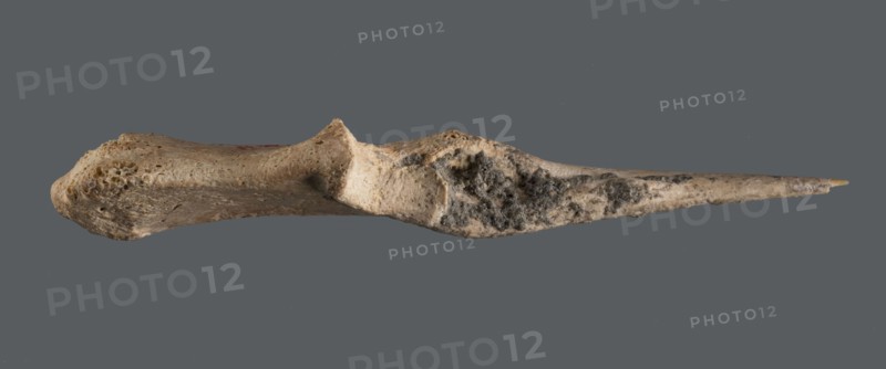 Awl made of unworked animal bone with a sharpened end for piercing materials fabrics or leather; ca. 2600–2350 BC, Early Jazira III / Early Dynastic III period; Tell Abu Hafur northeastern Syria, Northern Mesopotamia Khabur basin; tool; height 9.3 cm, width 2.9 cm, diameter 0.2–0.5 cm pointed working end, weight 8 g., A single elongated object resembling a bone with a tapered pointed end is shown against a solid dark gray background; the object displays a range of colors including beige, tan, off-white, light brown, darker brown, and patches of grayish-black, with a porous textured surface in places, smoother areas elsewhere, some irregular bumps and ridges along its length, and a small sharper tip that is slightly more yellowish.