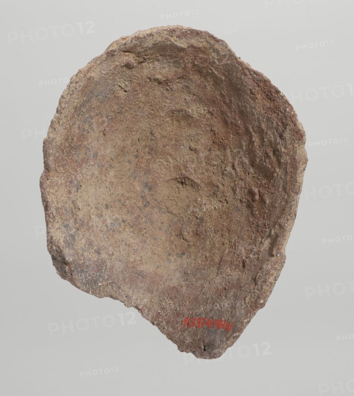 Female votive head, Female head with long, straight hair falling to the shoulders. Neck partially preserved. Elongated face with a receding forehead characterized by wide-open eyes set shallowly under prominent eyebrow arches. Mouth slightly open with fleshy lips, chin protruding forward, and full cheeks. 2nd century BC, Etruria; votive. Height 20 cm, width 12 cm, depth 8.5 cm, weight 0.94 kg., A roughly oval, irregularly edged object with a coarse, textured surface that appears worn and pitted, showing a mix of earthy browns, reddish-browns, and tan with a few darker grayish spots; the interior surface is concave and uneven while the outer edges are jagged and rough, and the object is set against a light gray background.