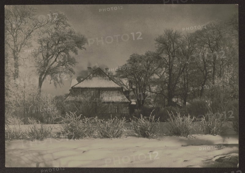 Blazewicz family manor house in Antakalnis, Vilnius — photograph by Jan Bulhak 1876–1950, ca. 1937. Winter scene showing wooden residential architecture in Antakalnis Vilnius. Photograph; height 11.0 cm, width 15.8 cm., A snow-covered scene shows a house partially hidden behind a group of leafless trees and shrubs, with snow on the roof and ground; the house has a pitched roof and visible chimneys, and the surrounding trees have bare branches extending upward and outward. The foreground features a snowy field with several low bushes dusted with snow, and taller shrubs create a textured midground. The overall tones are monochromatic shades of gray, black, and white, with darker tree trunks and roof contrasts against lighter snow and sky.
