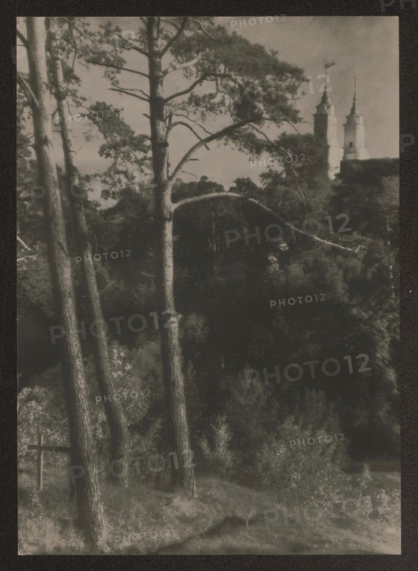Vilnius environment. Kalwaria, Bulhak, Jan 1876–1950 photographer, Kalwaria Wilenska Vilnius; Werki, ca. 1934 date, Vilnius place of origin, photograph, nature photograph, height 16.3 cm, width 11.6 cm, A grayscale photograph showing a group of tall trees with textured trunks in the foreground, their branches extending outward and upward, and a slope with low vegetation and shrubs at their base. In the midground there are darker, denser trees and foliage forming a wooded area. In the background a light-colored structure with two tall spires rises above the treeline. The overall tones are muted black, white, and various shades of gray.