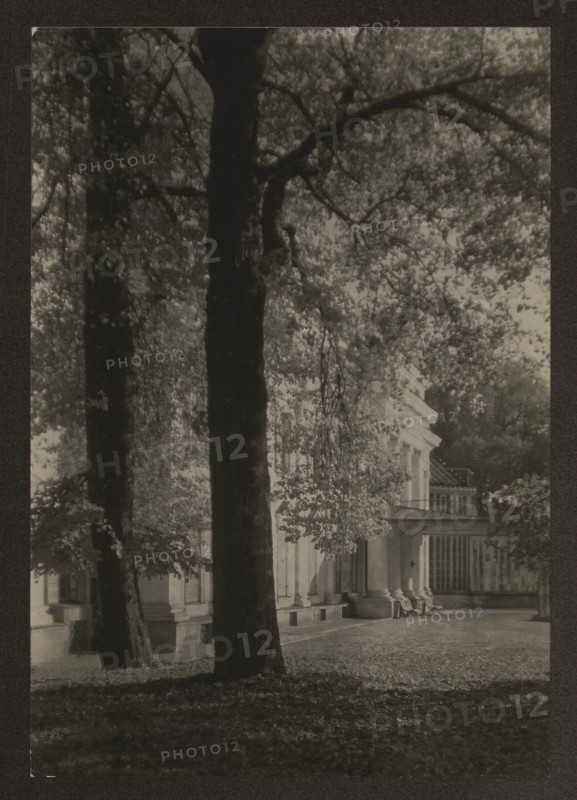 Werki — palace; Bulhak, Jan 1876–1950 photographer; Werki Lithuania; Tyszkiewicz family — residences; ca. 1934; Vilnius; nature photography; height 16.5 cm; width 11.3 cm, A photograph showing a large tree trunk and a few other tree trunks in the foreground with branches and leaves forming a canopy that filters light; behind the trees a classical building facade with columns, a portico, and windowed sections is partially visible, with light and shadow playing across its surfaces; the ground in front of the building appears covered with fallen leaves and dappled sunlight; visible colors include shades of black, gray, and off-white.
