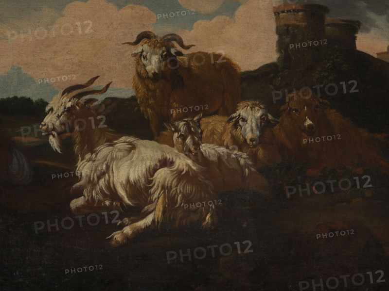 Shepherd Scene with a View of the Castle, Roos, Philipp Peter 1657–1706 painter. Multicolored composition with dominant shades of brown against a blue sky with white clouds and a distinct pink glow. In the foreground, the central group consists of two goats, a male and a female goat; the animals are lying down, with a male goat standing behind them. On the left, a slope, a dog, and a shepherd sitting in half-profile, wearing a brown sheepskin coat, blue trousers, a white shirt, and stockings. On the right side, in the background, on a hill, two cylindrical buildings, behind them the castle buildings. 18th century, Italy; overdoor; height 92.0 cm, width 115.0 cm, A group of several goats and sheep rest on dark ground in a landscape under a sky with pale blue and pinkish clouds; a large brown sheep stands toward the back while a few lighter-colored animals with long, shaggy white and cream fur lie in the foreground, their faces showing tones of white, gray, and brown; darker brown and bl...