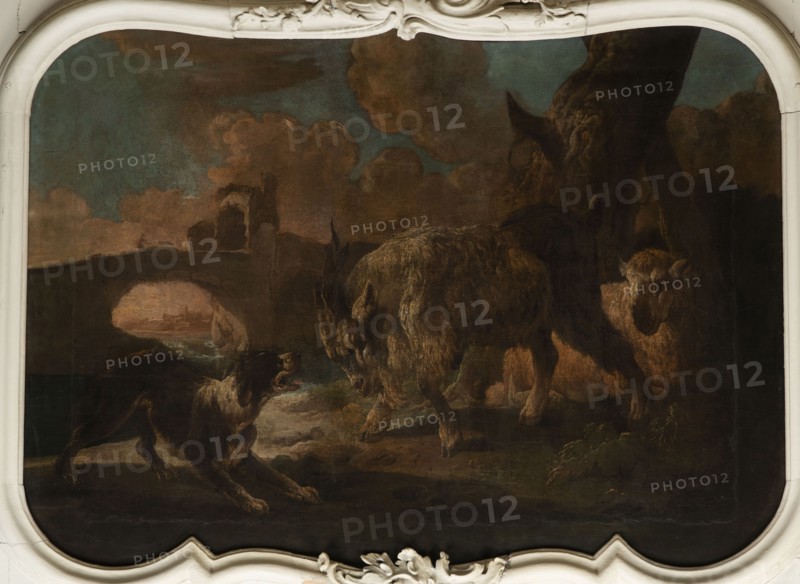 A dog scene with a dog barking at a goat; general tone of light browns and shades of pink with cumulus clouds; the glow of the last plan beyond the arcade of the bridge with ruined buildings surrounds the view of urban buildings by the river. In the foreground, a dog barking at a goat that is attacking it; on the right, a sheep lying near a tree trunk. Roos, Philipp Peter 1657–1706, 18th century, Italy; oil overdoor; height 90.0 cm, width 115.0 cm., A painted scene shows a dark brown and black dog facing a group of shaggy, woolly animals with coarse fur, one prominent animal standing with its head lowered and another partially visible behind a tree, all set on a muted landscape with a rocky foreground and a distant stone archway. The sky contains a mix of teal, muted blue, and brownish clouds, and the scene includes earthy greens and browns in the ground and foliage. The composition is framed by an ornate cream-colored decorative border with curving carved details.