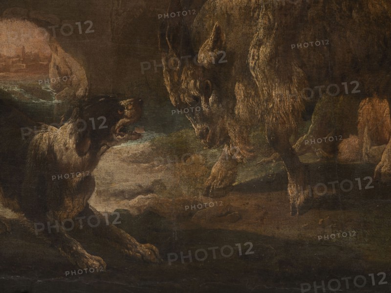 A dog scene with a dog barking at a goat; artist: Philipp Peter Roos 1657–1706. The general tone of light browns and shades of pink with cumulus clouds, the glow of the last plan beyond the arcade of the bridge with ruined buildings surrounds the view of urban buildings by the river. In the foreground, a dog barking at a goat that is attacking it; on the right side, a sheep lying near a tree trunk. 18th century, Italy; overdoor; oil on canvas; height 90.0 cm, width 115.0 cm., A dimly lit scene shows a dark-furred animal on the left facing a larger lighter-furred animal on the right, both with visible teeth and open mouths. The left animal has darker brown and black fur with lighter beige highlights on its legs and chest, while the right animal has varying shades of brown, tan, and beige with textured fur. The ground beneath them is dark brown and olive, and there are rocky formations and patches of muted green vegetation in the background. The overall palette includes dark brown, black...
