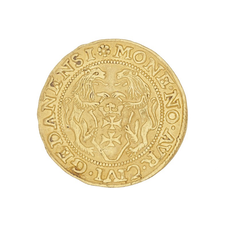 Gdansk ducat of Sigismund I the Old King of Poland; reign 1506–1548, struck in Gdansk, Poland — coin., A round gold-colored coin with a raised decorative rim and a central shield design flanked by two stylized heraldic lions facing each other, surrounded by a beaded inner circle and an outer ring of raised characters; the coin surface shows subtle variations in gold tones and slight wear along the edges.